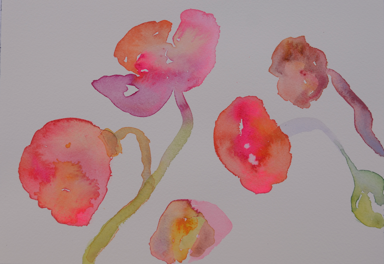 Neon Poppies