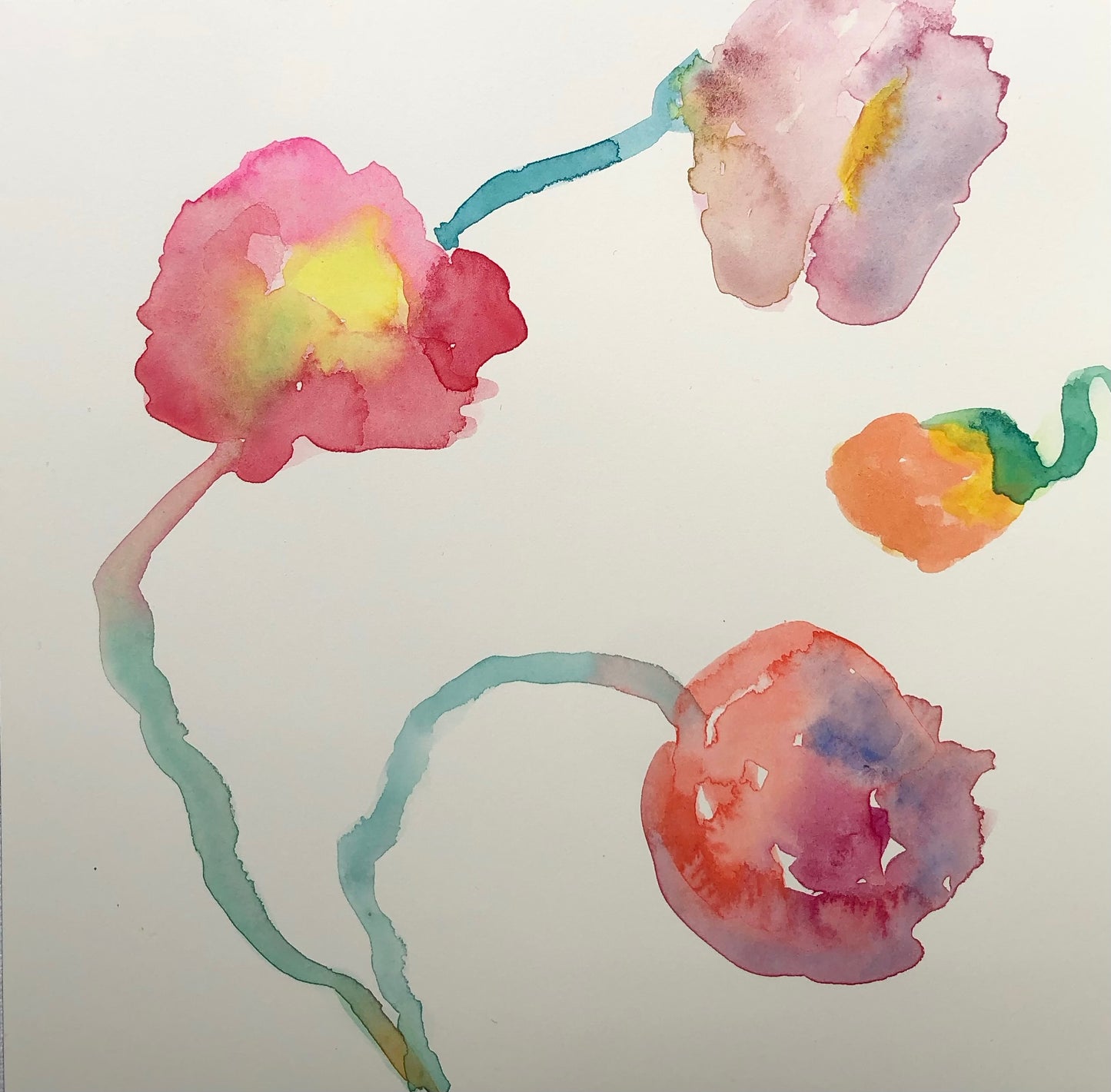 Poppies Purple